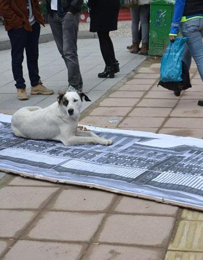 Eskişehirde ilginç Cumhurbaşkanlığı Sarayı protestosu