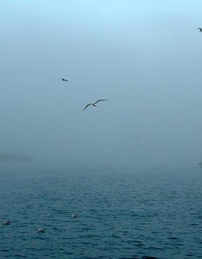 Çanakkale Boğazında yoğun sis