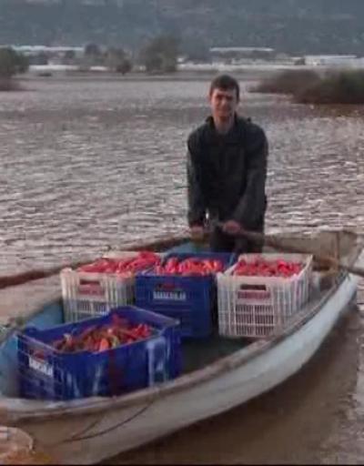Antalyada binlerce dönüm tarım alanı hala su altında