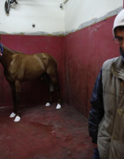 Yarış atları burada hayat buluyor: Veliefendi At Hastanesi