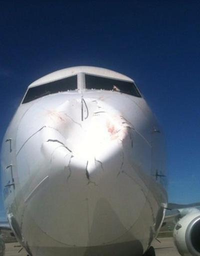 THY uçağına kuş sürüsü çarptı, hasar meydana geldi