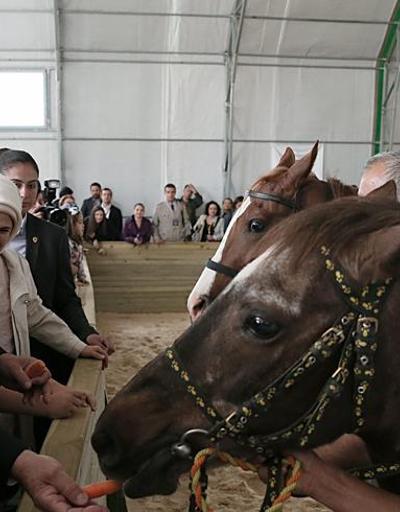 Cumhurbaşkanı Erdoğan: Katar Emiri 53 tane Arap atı gönderdi