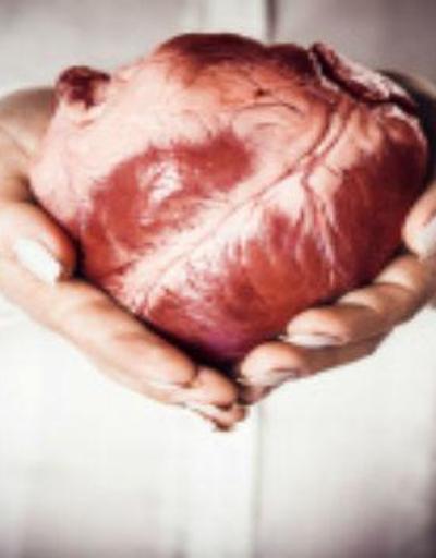 Karaciğer nakli için organ kaynağı nasıl bulunur