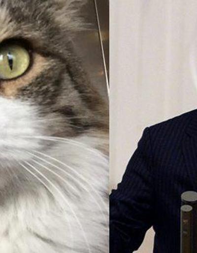 AK Partili Bülent Turan CHPnin kedisi Şeroyla tartıştı