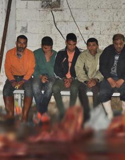 İzmirde at eti operasyonu: 14 at kesilmiş halde bulundu