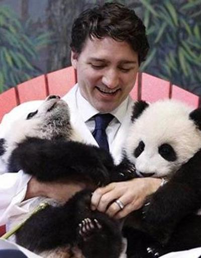 Kanada Başbakanı 2 panda yavrusunu basınla tanıştırdı