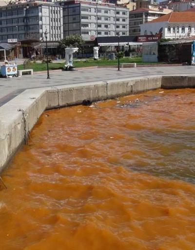 Bandırma’da alg patlaması denizin rengini değiştirdi