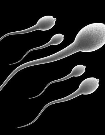 Sperm sayısı giderek azalıyor mu