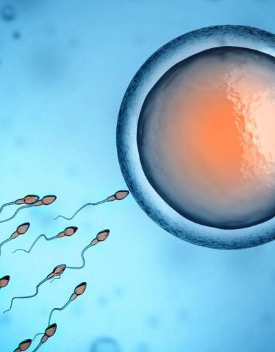 Deri hücrelerinden sperm ürettiler
