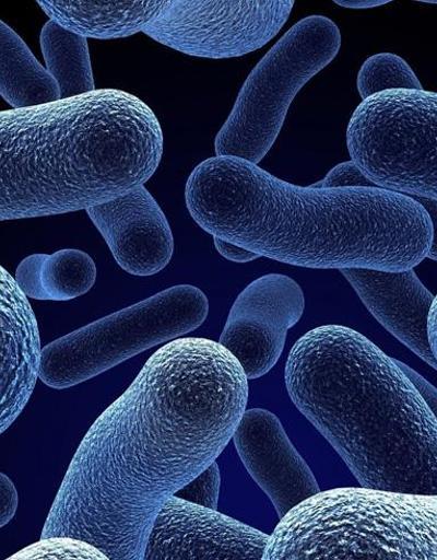 Tüm antibiyotiklere bağışıklık sahibi bakteri bulundu