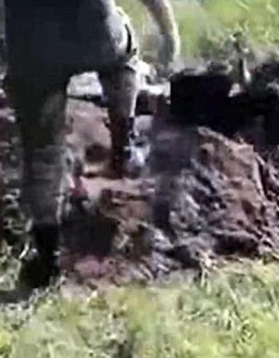 Ukrayna askerleri Rus ayrılıkçıyı diri diri gömdü