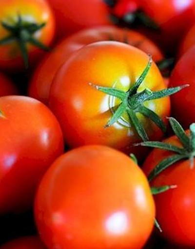 Soğuklar domatesin fiyatını yüzde 50 artırdı