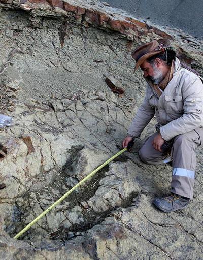 En büyük dinozor kalıntısı bulundu