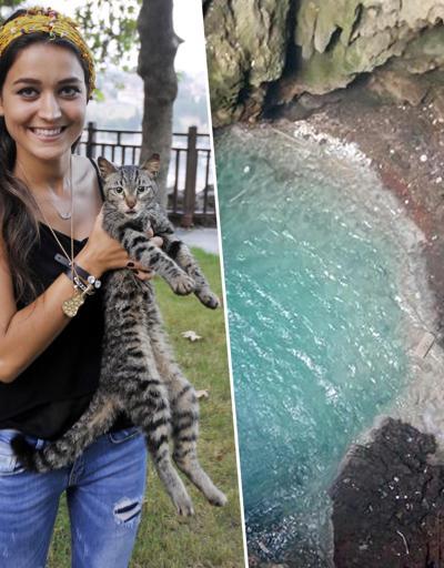 Antalyayı seferber etti, kediyi uçurumdan kurtardı