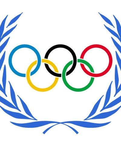 Mehmet Ali Şahinden Türkçe Olimpiyatları eleştirisi