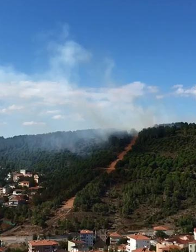 İstanbulda orman yangını