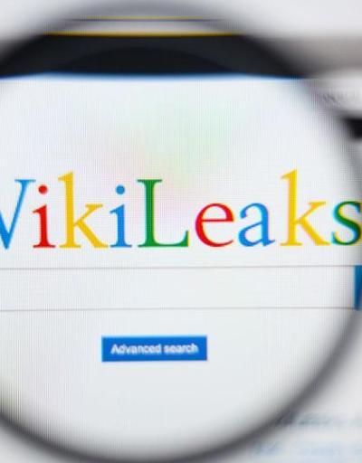 Wikileaks sıradan insanları da mağdur ediyor