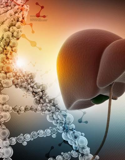 Karaciğer kanserinde ileri tedavi yöntemi: Kemoembolizasyon