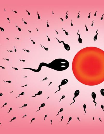 Tüp bebekte kuyruğu olmayan spermler de sonuç verebilmekte