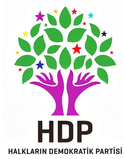 HDP İl Eş Başkanı Ayşe Sürücü gözaltına alındı