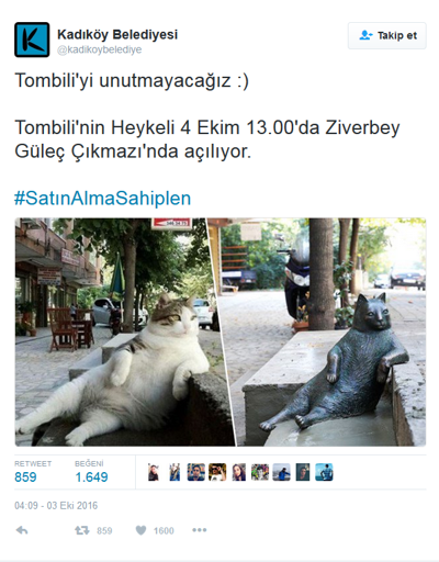 Kadıköyün kedisi Tombili heykeli açıldı