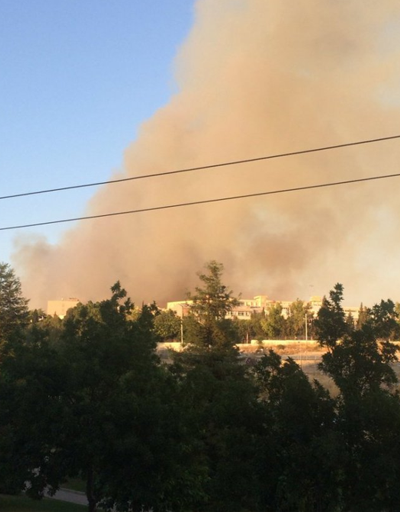 İzmirde makilik alanda yangın