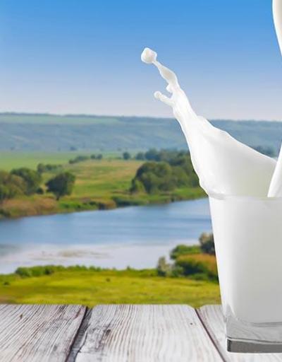 Eylül ayında inek sütü miktarı arttı