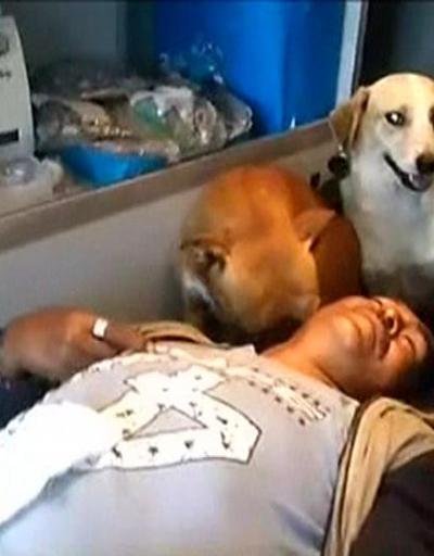 Sarhoş adama ambulansta köpeklerinden ilk yardım