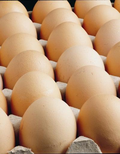 Gerileyen yumurta fiyatlarını yükseltecek öneri