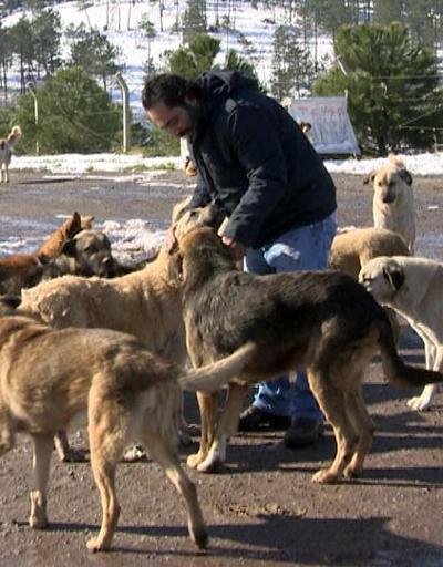 Köpeklerin babası Kurtköydeki 3 bin köpeğe bakıyor