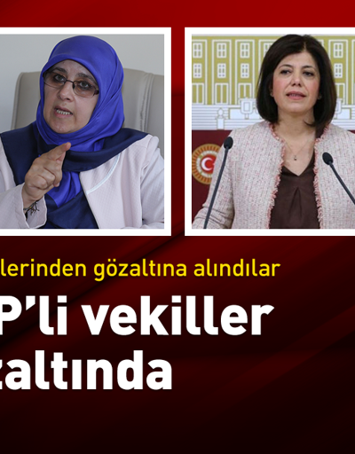 HDPli vekiller gözaltına alındı