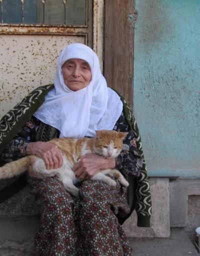 Sokak kedilerinin 87 yaşındaki Ummuhan ninesi