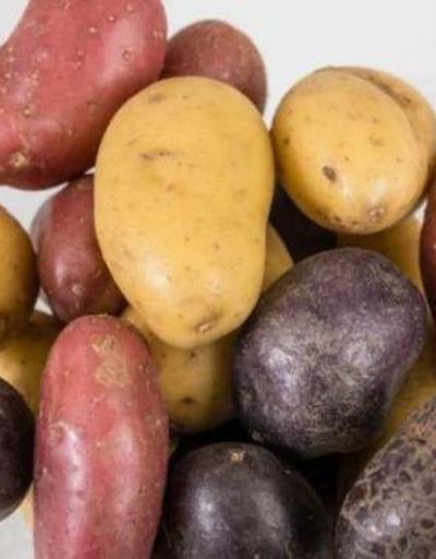 Mars koşullarında patates yetiştirildi