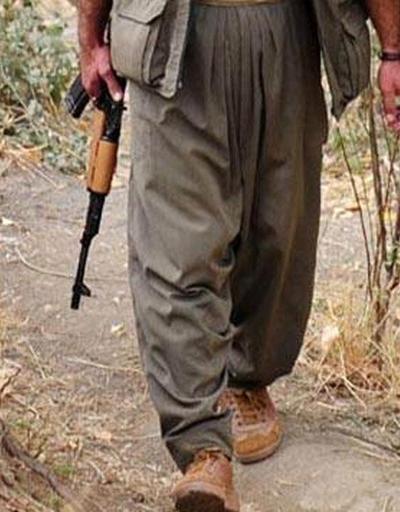 Terör örgütü PKKnın bölge sorumlusu öldürüldü