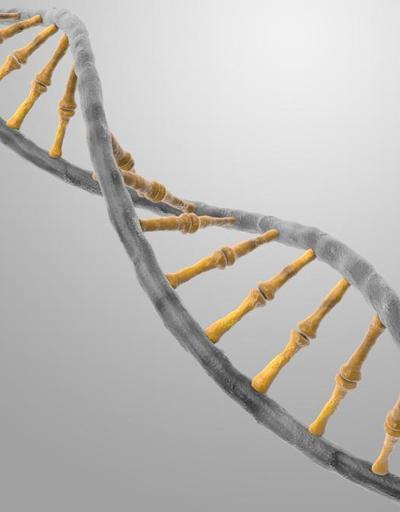 DNA’lardaki muazzam güç açığa çıkıyor