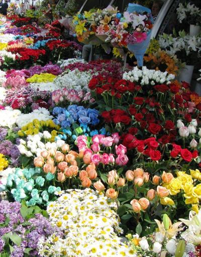 Taksim çiçekçilerine kalıcı mekan yapılıyor