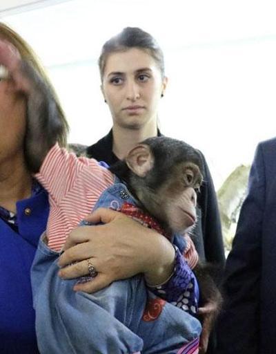 Fatma Şahinin şempanze Can ile imtihanı