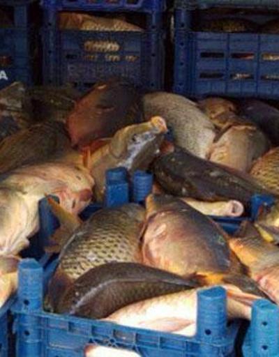 Kaçak avcılar 5 ton balıkla yakalandı