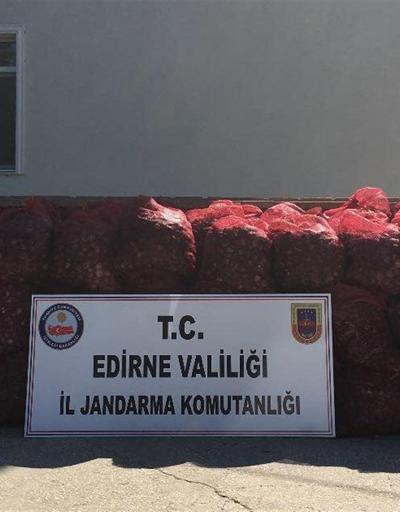 Edirnede 2 ton kaçak midyeye, 1208 lira ceza