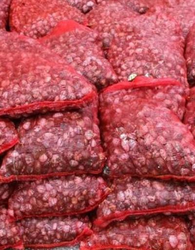 İzmir’de 24 ton kaçak midye yakalandı