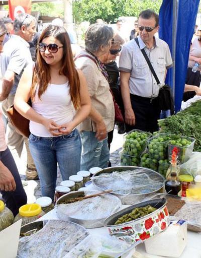 Türkiyenin ilk Vegan ve Vejetaryen Festivali