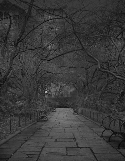 Uyku bozukluğu perspektifinden: Central Park