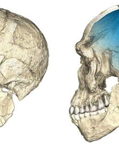 En eski insan kalıntısı Fasta bulundu: 300 bin yaşında