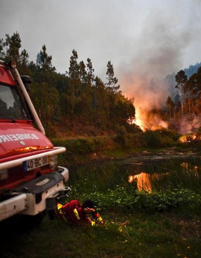 Portekizde orman yangını: En az 62 ölü