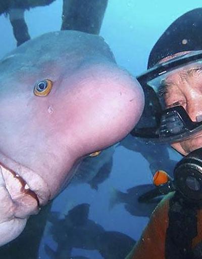 25 senedir denizler altındaki dostunu ziyaret ediyor