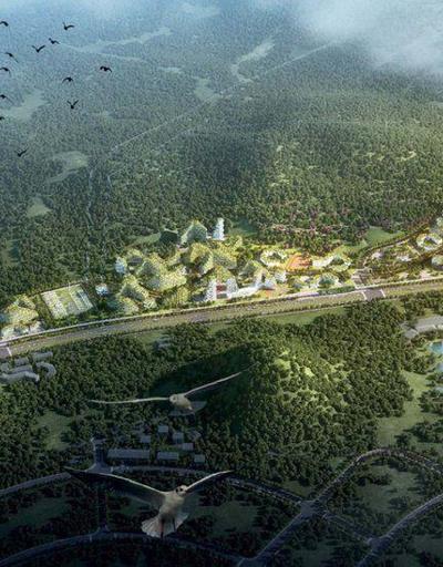 Çinde 40 bin ağaçla ormandan şehir yapıyorlar