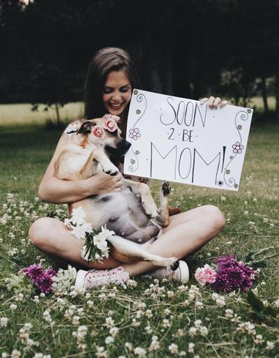 Hamile köpeğine fotoğraf çekimi yaptı, internet buna bayıldı