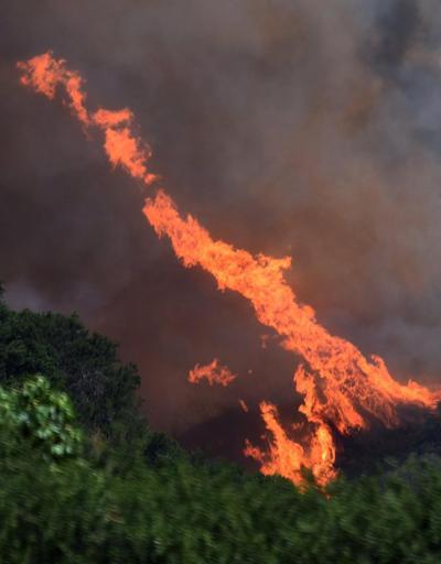 Californianın kuzeyi yanıyor Binlerce kişi tahliye edildi, on binlerce hektar orman alevler içinde