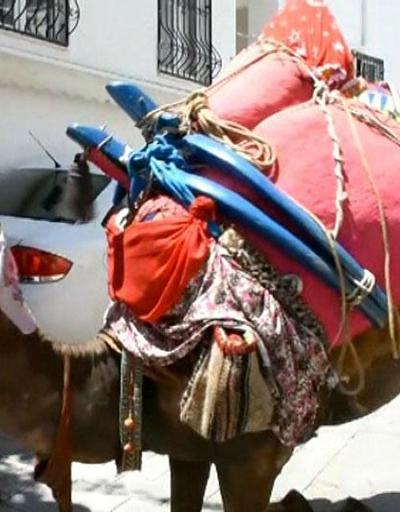 Bodrumda deve üstünde çeyiz taşıma geleneği sürüyor