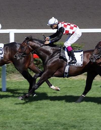 At yarışı: Başbakanlık Koşusunu Halis Karataş kazandı